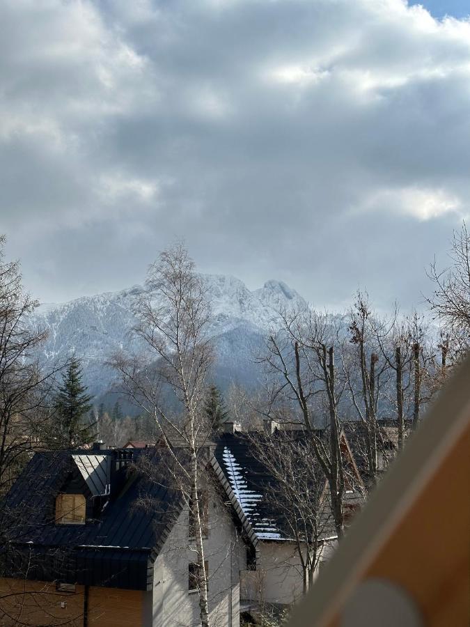 Willa Ornak Zakopane Exterior photo